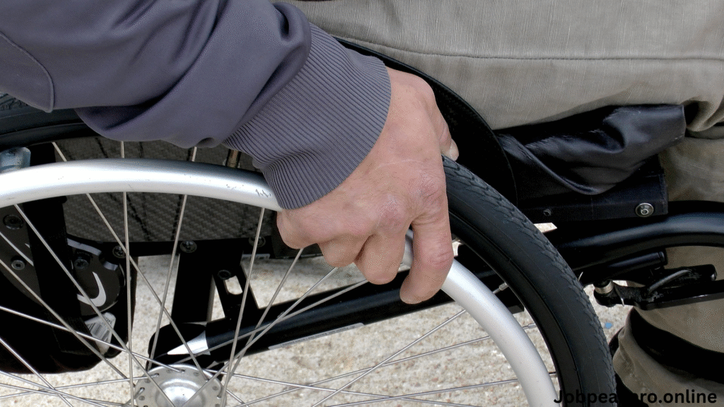 disabled niche jobs