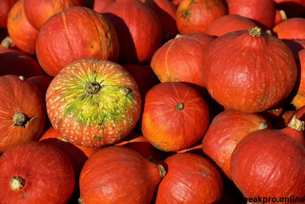 niche food group jobs